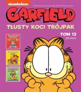 Garfield T.13 Tłusty koci trójpak - Jim Davis, Jim Davis, Jim Davis, Piotr W. Cholewa