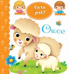 Co to jest? Owce - Federica Iossa (ilustr.), Émilie Beaumont, Nathalie Bélineau