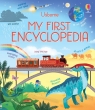 My First Encyclopedia wer. angielska 3+ Usborne, Various
