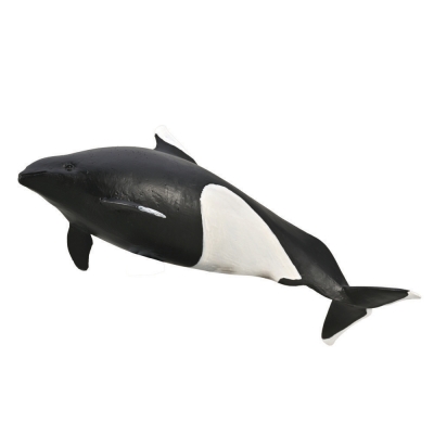 COLLECTA MORŚWINIEC BIAŁOPŁETWY