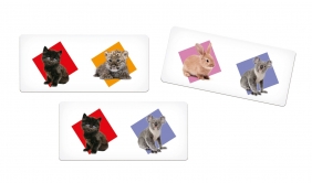 Domino Puppies (18068)