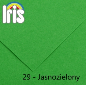 Karton kolorowy Canson (200040172) - Fila Polska