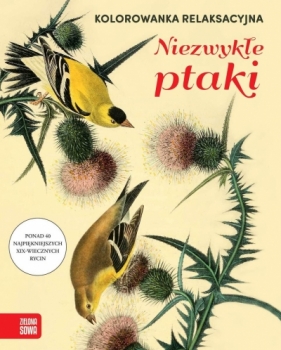 Kolorowanka relaksacyjna. Niezwykłe ptaki