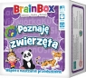  BrainBox - Poznaję zwierzętawiek: 4+