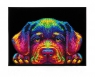 <img src='https://webimage.pl/pics/685/3/d4895225943685.jpg' width='400' height='326'> Diamond Dotz - Adults Neon Puppy