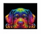 Diamond Dotz - Adults Neon Puppy
