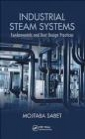 Industrial Steam Systems Mojtaba Sabet