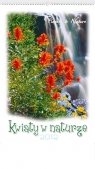 Kalendarz 2012 RW08 Kwiaty w naturze