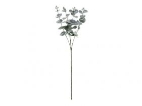 Gałązka Eukaliptus 60cm