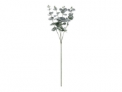 Gałązka Eukaliptus 60cm