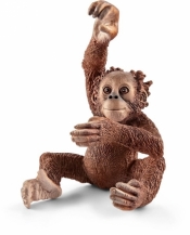 Schleich Wild Life, Młody orangutan (14776)