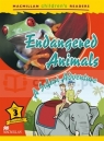 MCR 3: Animals / Endangered Animals Alex Raynham