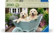 Ravensburger, Puzzle 200: Golden Retriever (12001368)