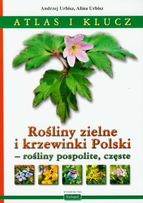 Rośliny zielne i krzewinki Polski rośliny pospolite, częste Atlas i klucz