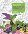 Beautiful Colour by Numbers Felicity James