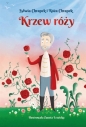 Krzew róży - Róża Chrapek