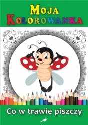 Moja kolorowanka - Co w trawie piszczy - Opracowanie zbiorowe