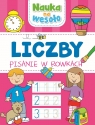 Nauka na wesoło. Liczby. Pisanie w rowkach Opracowanie zbiorowe