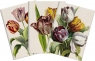 Stone 503 Zestaw 3 notatników A6 - tulipany