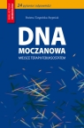 Dna moczanowa