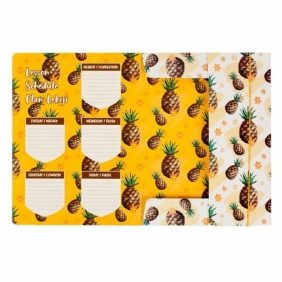Teczka z gumką A4 kaktus/ananas (441058)