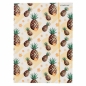 Teczka z gumką A4 kaktus/ananas (441058)