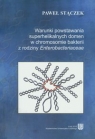 Warunki powstania superhelikalnych domen w chromosomie bakterii z rodziny Stączek Paweł