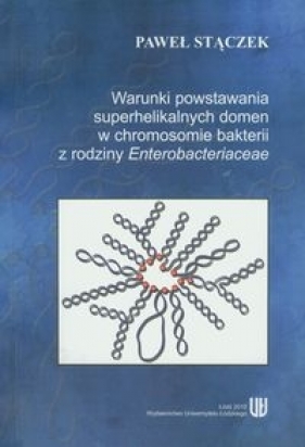 Warunki powstania superhelikalnych domen w chromosomie bakterii z rodziny Enterobacteriaceae - Stączek Paweł