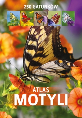 Atlas motyli - Twardowska Kamila, Twardowski Jacek