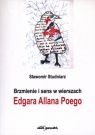 Brzmienie i sens w wierszach Edgara Allana Poego  Sławomir Studniarz