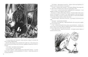 Muminki zebrane. Tom I - Tove Jansson