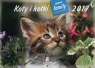 Kalendarz 2017 WL 09 Koty i kotki rodzinny