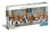 Puzzle 1000 Panorama Beagles