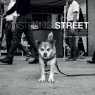 Mastering: Street Photography