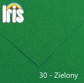 Karton kolorowy Canson (200040173) - Fila Polska