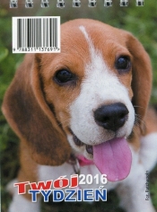 Kalendarz 2016 Twój tydzień B7 mix oprawy