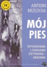 Mój pies   Wychowanie i szkolenie użytkowo - obronne Brzezicha Antoni