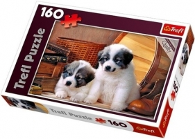 Puzzle Bernardynki 160 (15269)