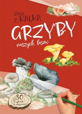 Grzyby naszych lasów - Katarzyna Kopiec-Sekieta