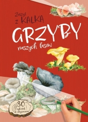 Grzyby naszych lasów - Katarzyna Kopiec-Sekieta