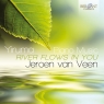 Yiruma Piano Music River Flows In You  Jeroen Van Veen