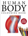 Human Body Colouring Book wer. angielska Peter Abrahams