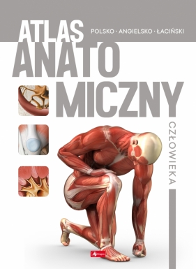 Atlas anatomiczny człowieka Praca zbiorowa