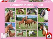Puzzle 150: Konie (106960)