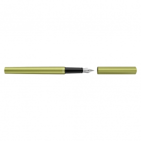 Pióro wieczne Pelikan Ineo - Green Oasis