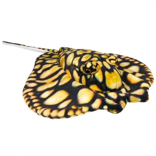 Płaszczka czarno-żółta