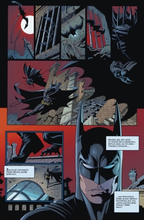 Batman. Ziemia niczyja. Kolej podziemna. Tom 6 - Larry Hama