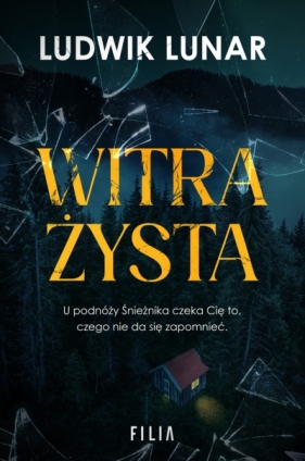 Witrażysta - Ludwik Lunar