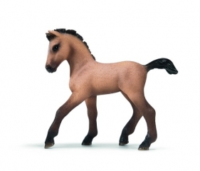Źrebak rasy Andalusian (13669)
