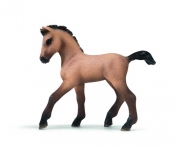 Źrebak rasy Andalusian (13669)
